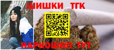 гидропоника Кингисепп