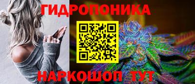 гидропоника Кингисепп