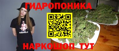 гидропоника Кингисепп